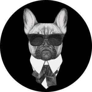 Meet your Posher,  Prince